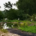 Basaltina Panzió Balatonederics