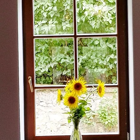 Basaltina Panzió Alojamento de Acomodação e Pequeno-almoço Balatonederics