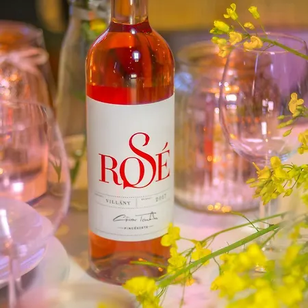 Basaltina Panzió Alojamento de Acomodação e Pequeno-almoço Balatonederics