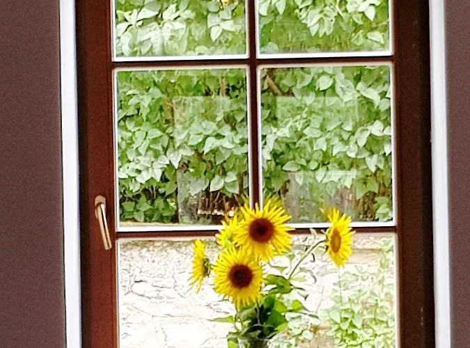 Basaltina Panzió Bed and breakfast Balatonederics