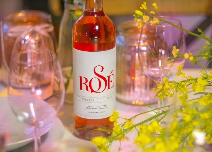 Basaltina Panzió Bed and breakfast Balatonederics