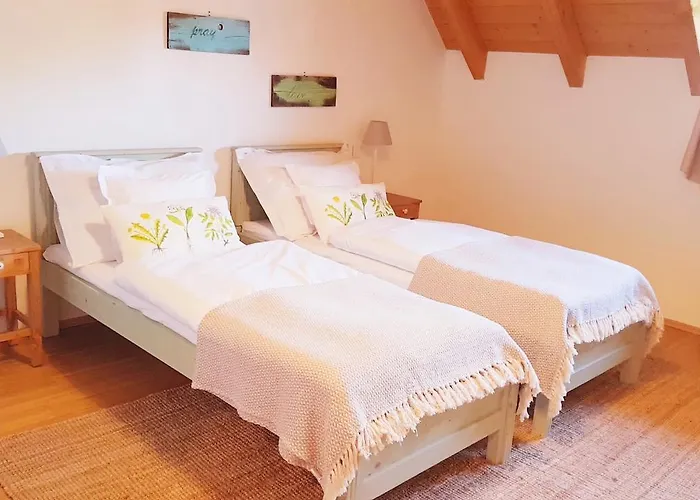 Basaltina Panzió Bed and breakfast 4*