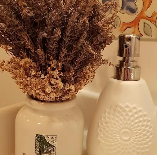 Basaltina Panzió Bed and breakfast