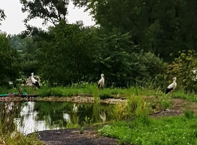 Basaltina Panzió Balatonederics